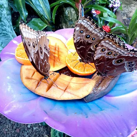 아파트 Kinderfreundlich Am Dorflaedchen *