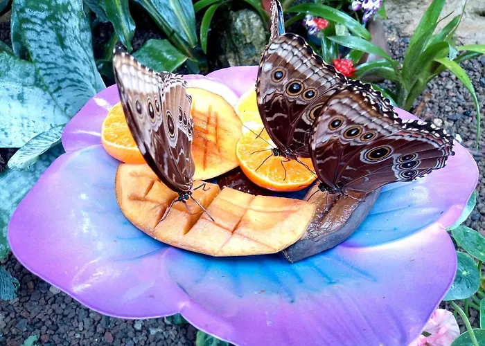 شقة Kinderfreundlich Am Dorflaedchen *